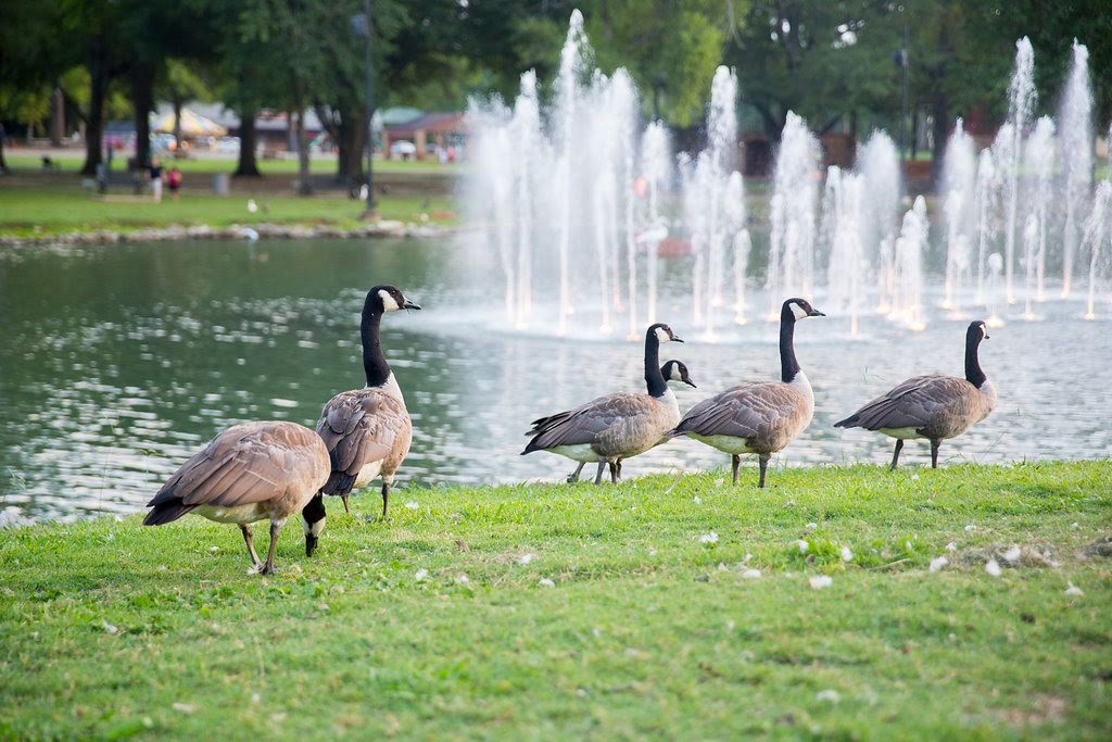 b2ap3_large_L68A2972